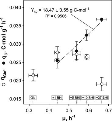 Frontiers Physiological Response Of Corynebacterium Glutamicum To Increasingly Nutrient Rich Growth Conditions Microbiology