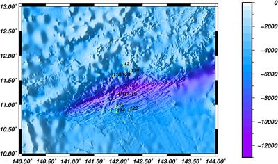 Frontiers | Particle-Attached and Free-Living Archaeal Communities in ...