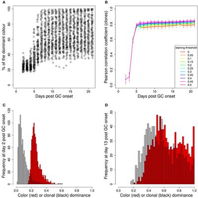 Frontiers Computer Simulation Of Multi Color Brainbow Staining And Clonal Evolution Of B Cells In Germinal Centers Immunology