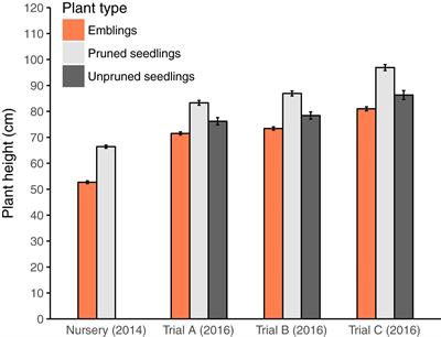 Frontiers Novel Avenues For Plant Protection Plant Propagation By Somatic Embryogenesis Enhances Resistance To Insect Feeding Plant Science