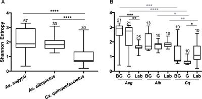 Frontiers  The Axenic and Gnotobiotic Mosquito: Emerging Models for  Microbiome Host Interactions