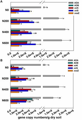 Frontiers Long Term Nitrogen Fertilization Elevates The Activity And Abundance Of Nitrifying And Denitrifying Microbial Communities In An Upland Soil Implications For Nitrogen Loss From Intensive Agricultural Systems Microbiology