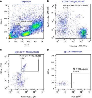 Frontiers | Identification of a HIV Gp41-Specific Human Monoclonal ...