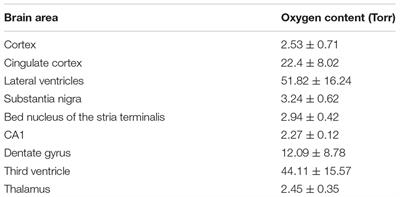 Frontiers Reactive Oxygen Species Formation In The Brain At