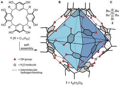 Supramolecular catalysis. Part 2: artificial enzyme mimics - Chemical  Society Reviews (RSC Publishing) DOI:10.1039/C3CS60037H