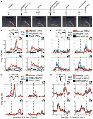 Frontiers | Watch, Imagine, Attempt: Motor Cortex Single-Unit Activity ...