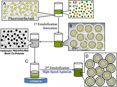 Frontiers | Development of Rifampicin-Indocyanine Green-Loaded ...