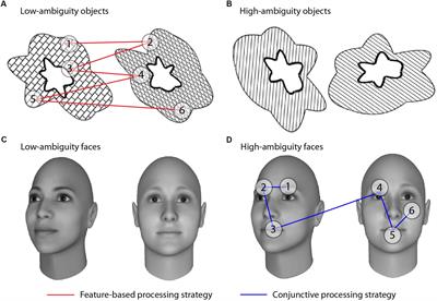 Frontiers Conjunctive Visual Processing Appears Abnormal In Autism Psychology