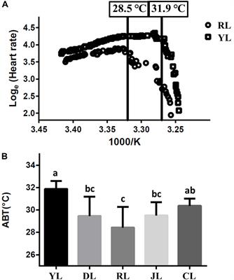 Frontiers Different Transcriptomic Responses To Thermal Stress In Heat Tolerant And Heat Sensitive Pacific Abalones Indicated By Cardiac Performance Physiology