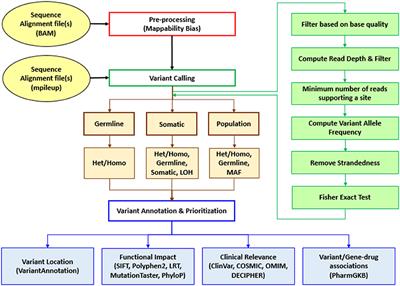 Frontiers Seqvita Sequence Variant Identification And Annotation Platform For Next Generation Sequencing Data Genetics