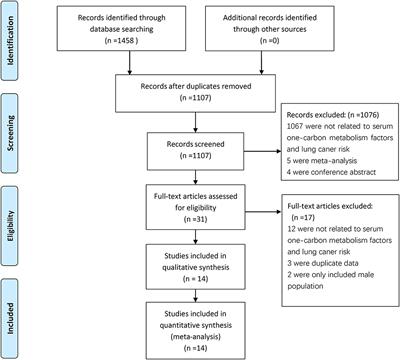 Frontiers | Association of One-Carbon Metabolism-Related Vitamins ...