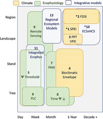 Frontiers A Dirty Dozen Ways To Die Metrics And Modifiers Of Mortality Driven By Drought And Warming For A Tree Species Forests And Global Change