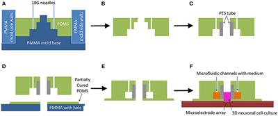 Frontiers | Advancing a MEMS-Based 3D Cell Culture System for in vitro ...