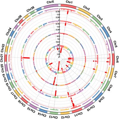 Frontiers Genome Wide Association Study For Milk Protein Composition Traits In A Chinese Holstein Population Using A Single Step Approach Genetics