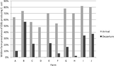 Frontiers Antimicrobial Usages And Antimicrobial Resistance In Commensal Escherichia Coli From Veal Calves In France Evolution During The Fattening Process Microbiology