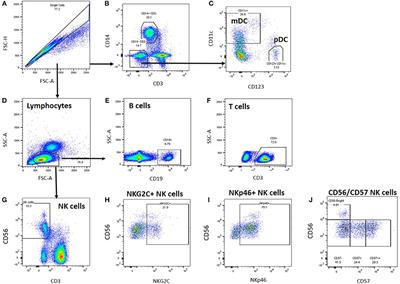 Frontiers | Cellular Immune Function in Myalgic Encephalomyelitis ...