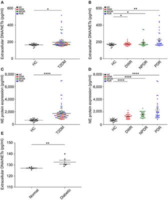 Frontiers | Hyperglycemia Induces Neutrophil Extracellular Traps ...