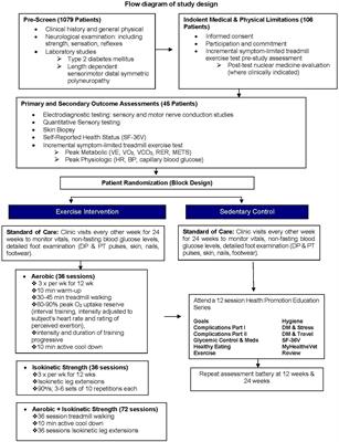 Frontiers | Randomized Controlled Trial of Physical Exercise in ...