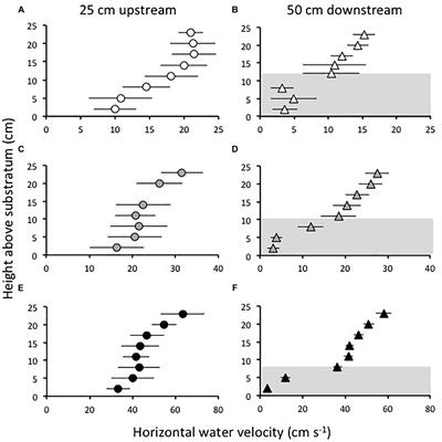 Frontiers Effect Of Seagrass On Current Speed Importance Of Flexibility Vs Shoot Density Marine Science