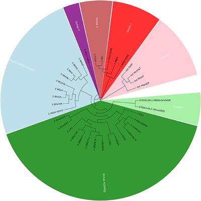 Frontiers A Novel Approach To Clustering Genome Sequences Using Images, Photos, Reviews