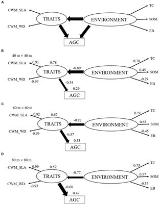 Frontiers Plant Functional Traits Are The Mediators In Regulating Effects Of Abiotic Site Conditions On Aboveground Carbon Stock Evidence From A 30 Ha Tropical Forest Plot Plant Science