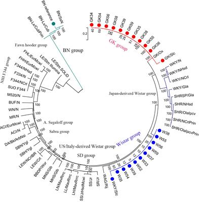 Frontiers | Integrative Analysis of Genome and Expression Profile Data ...