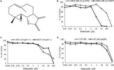 Frontiers | Collateral Sensitivity of Parthenolide via NF-κB and HIF-α ...