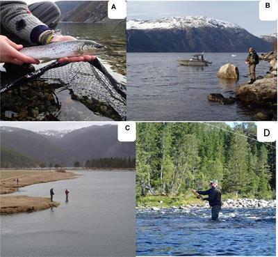 Frontiers  Social-Cultural Ecosystem Services of Sea Trout Recreational  Fishing in Norway