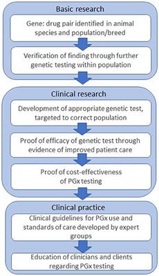 Frontiers Translating Pharmacogenetics And Pharmacogenomics To The Clinic Progress In Human And Veterinary Medicine Veterinary Science