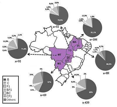 Frontiers Identification Of New Hiv 1 Circulating Recombinant Forms Crf81 Cpx And Crf99 Bf1 In Central Western Brazil And Of Unique Bf1 Recombinant Forms Microbiology