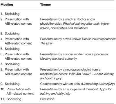 Frontiers Hit In The Heart Of Life How Meeting Like Minded Peers May Contribute To Psychosocial Recovery Of Adolescents And Young Adults With Acquired Brain Injury Neurology