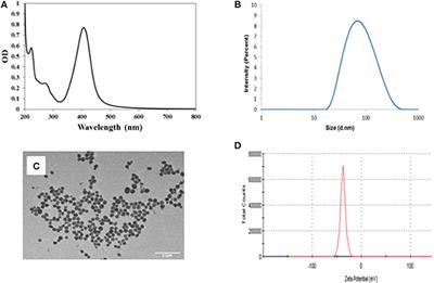 Frontiers The Toxicity Of Silver Nanoparticles Agnps To Three Freshwater Invertebrates With Different Life Strategies Hydra Vulgaris Daphnia Carinata And Paratya Australiensis Environmental Science