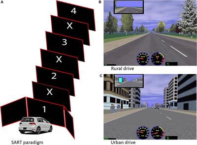 Driving Simulators for Clinical & Research Settings