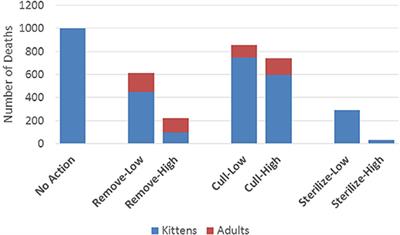 Frontiers A Long Term Lens Cumulative Impacts Of Free Roaming Cat Management Strategy And Intensity On Preventable Cat Mortalities Veterinary Science