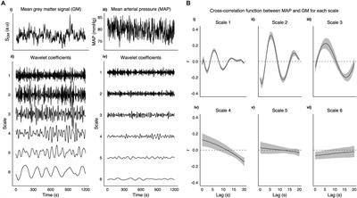 Frontiers | Cerebral Autoregulation Evidenced by Synchronized Low ...