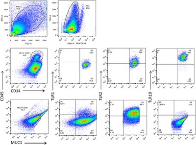 Frontiers | TLR10 Senses HIV-1 Proteins and Significantly Enhances HIV ...