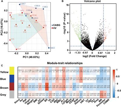 GWENA: gene co-expression networks analysis and extended modules  characterization in a single Bioconductor package, BMC Bioinformatics