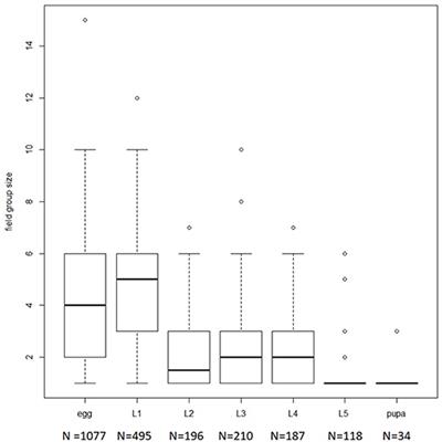 Frontiers | Caterpillars Cooperate to Overcome Plant Glandular Trichome ...