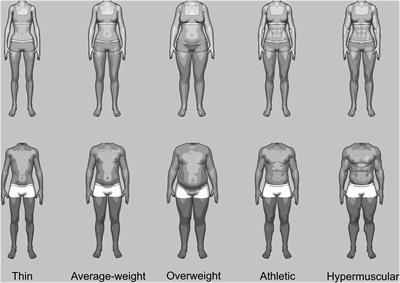 Frontiers  Gender Differences in Body Evaluation: Do Men Show