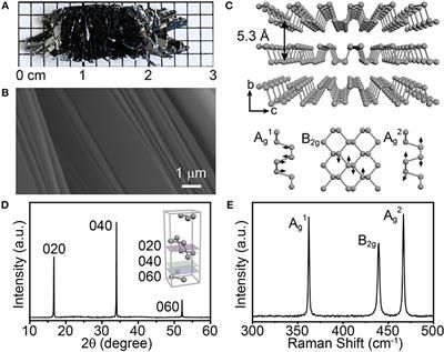 Frontiers Revisiting The Growth Of Black Phosphorus In Sn