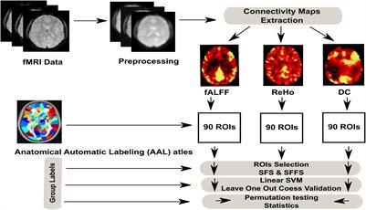 Frontiers Machine Learning Based Classification Of Resting State Fmri Features Exemplified By Metabolic State Hunger Satiety Human Neuroscience