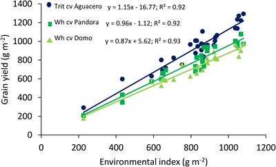 Frontiers Exploring Agronomic And Physiological Traits Associated With The Differences In Productivity Between Triticale And Bread Wheat In Mediterranean Environments Plant Science