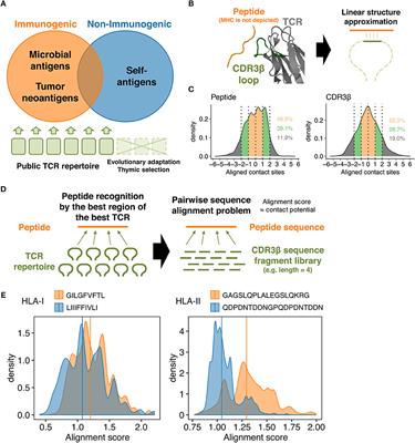 Frontiers Quantitative Prediction Of The Landscape Of T - 