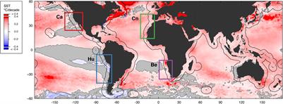 Frontiers  Reduced Nearshore Warming Associated With Eastern