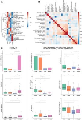 Frontiers Immune Cell Profiling Of The Cerebrospinal Fluid Provides Pathogenetic Insights Into Inflammatory Neuropathies Immunology