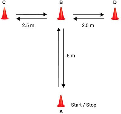 Frontiers | Post-activation Potentiation: Effects of Different ...