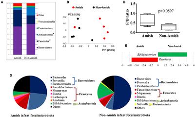 Frontiers Amish Rural Vs Non Amish Urban Infant Fecal Microbiotas Are Highly Diverse And Their Transplantation Lead To Differences In Mucosal Immune Maturation In A Humanized Germfree Piglet Model Immunology