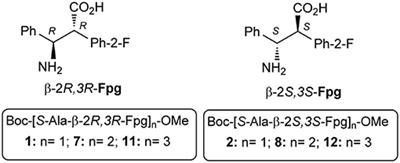 Frontiers Fluoro Aryl Substituted A B2 3 Peptides In The Development Of Foldameric Antiparallel B Sheets A Conformational Study Chemistry