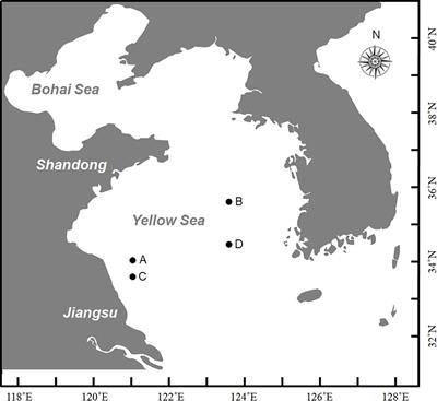 Frontiers | Community Structure of Bacteria Associated With Drifting ...