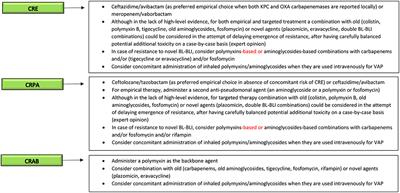 Frontiers Treatment Of Infections Due To Mdr Gram Negative Bacteria Medicine